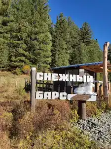 Снежный барс - 24