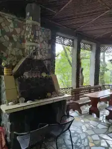 Дельфин - 18