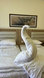 Albatros Aqua Vista Resort - 55