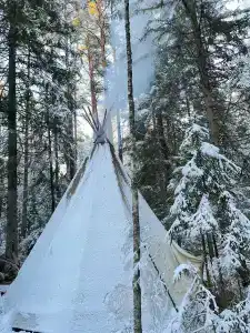 Северный олень - 25