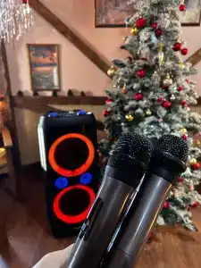 Турист - 31