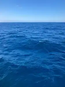 Lazuli, Marsa Alam - 26