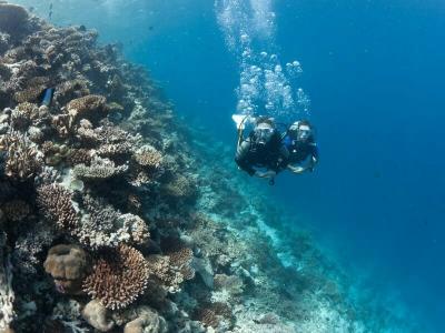 Bathala Island - 33