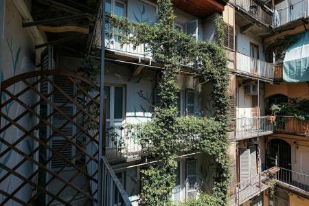 Tomato Backpackers - 2