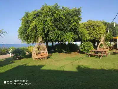 Gold Island - 11