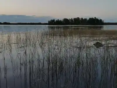 Выдыхай Город - 41