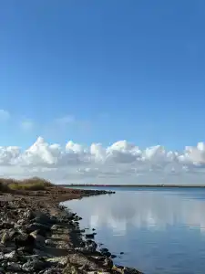 Райдом - 10
