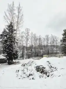 Соромяки - 12