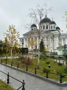 Сальников - 31