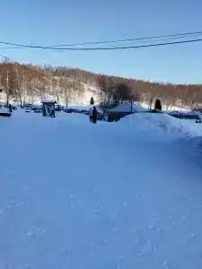 Долгий лог - 45