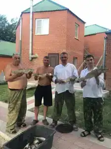 Камыш - 29