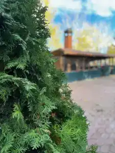 4 Сезона - 6