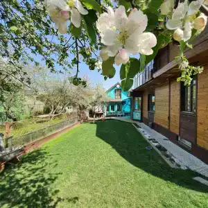 Villa Daelia Гостевые домики с барбекю и баней - 10