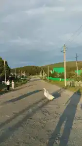 Заветное место - 14
