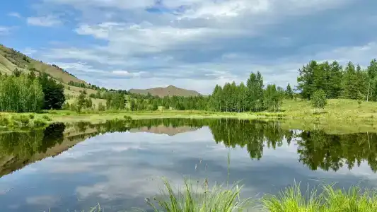 Нурали - 7