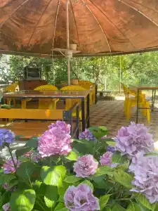 Лето всем - 1