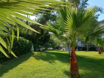 Armas Garden - 31