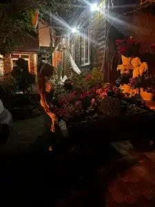 фламинго - 6