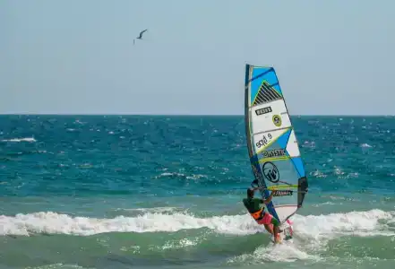 Veselovka Experience - 52