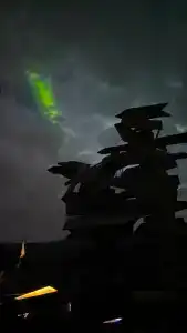 Куэльпорр - 91