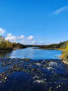 Салонсари - 39