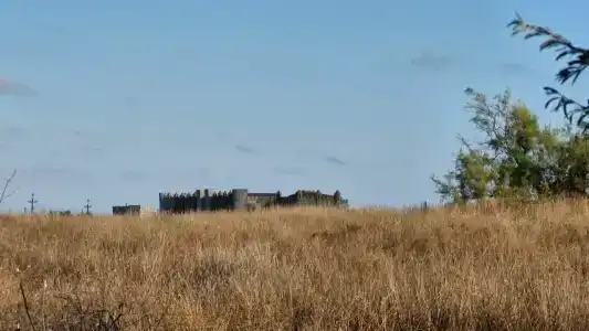 ТриТонЧик - 21