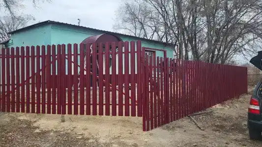 Ромашка - 2