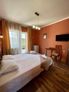 Альбатрос - 16