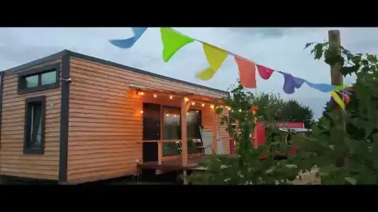 Смородина - 16