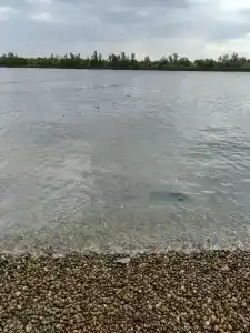 Огни Маяка - 56