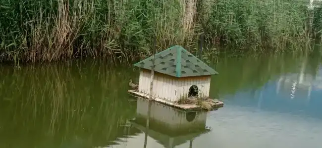 Навигатор - 38