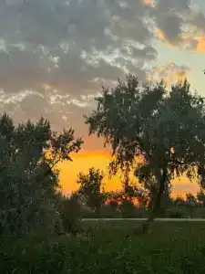 Альбатрос - 28