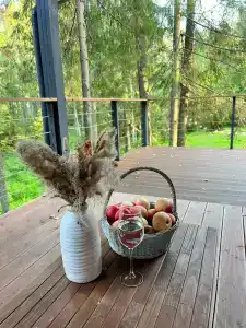Fox in forest - 35