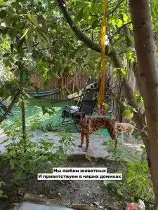 Добродом - 45
