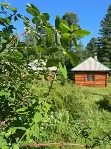 Снежный барс - 34