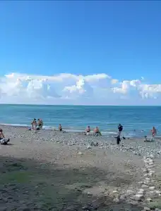 Sea land cottege - 9