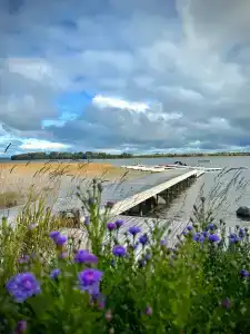 Заонежье Ретрит - 90