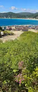 Морской бриз в Шепалово - 8