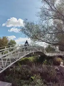 Фэмили Дача - 49