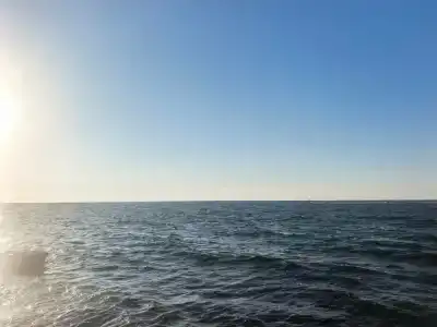 Морская жемчужина - 39