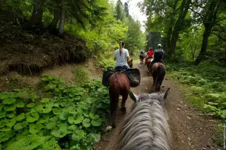 Горная Панорама - 2