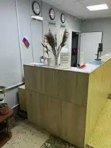 Ника - 12