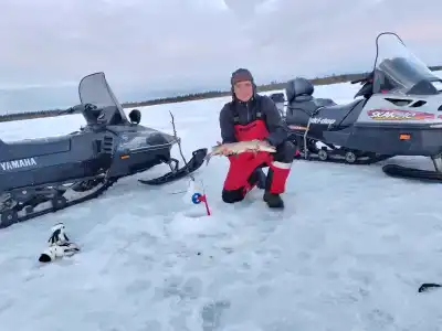 Compass Sosnovaya - 28