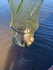 Остров Зеленый - 33