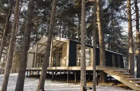 Wood Wood Wood - 74