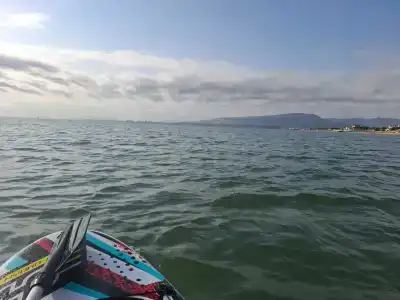 Атлант Экзотик - 19