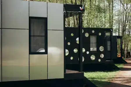 Гуси-Лебеди - 19