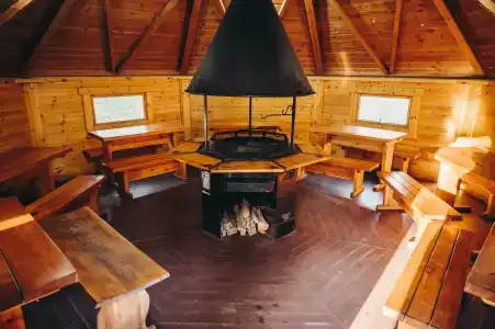 Гуси-Лебеди - 77