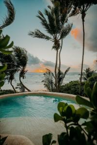 Papaya Playa Project - 19