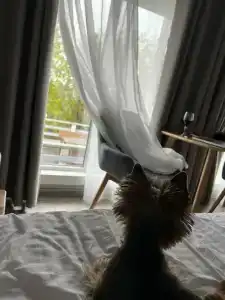 Экопарк Акора - 91